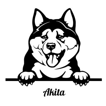 Akita matrica