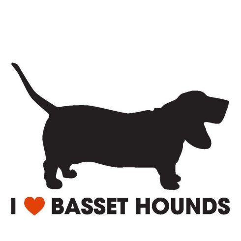 Basset hound matrica 6