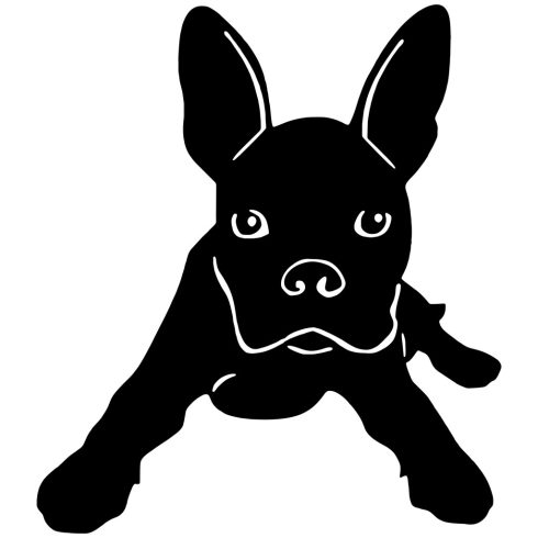 Boston terrier matrica 3