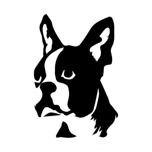 Boston terrier matrica 7