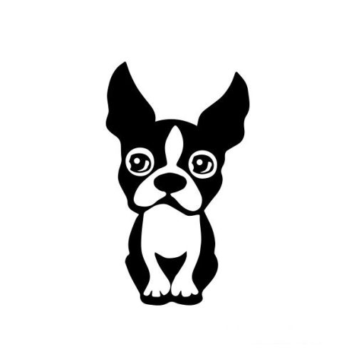 Boston terrier matrica 9