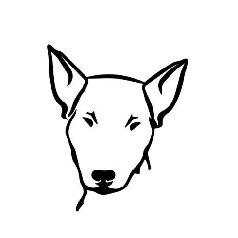 Bullterrier matrica 3