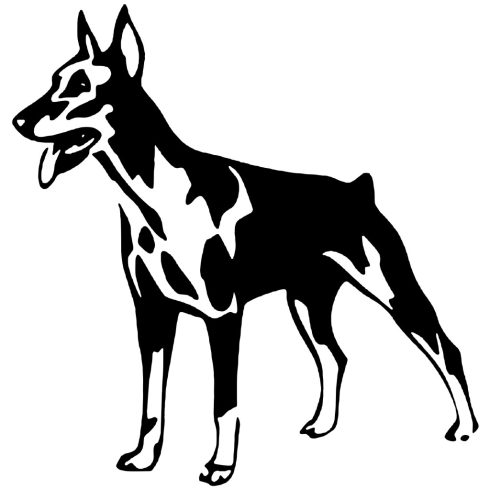 Dobermann matrica 5