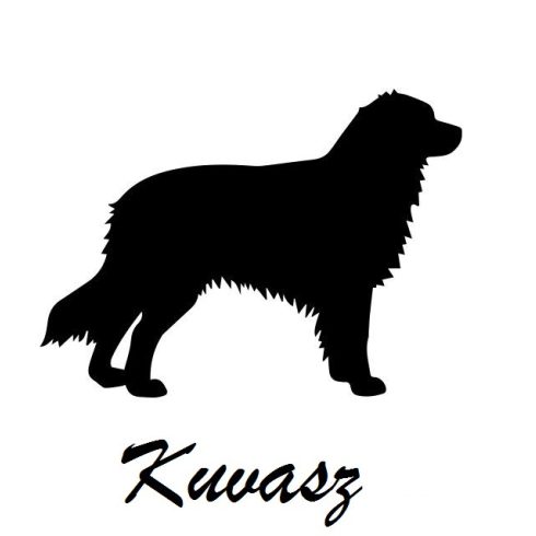 Kuvasz matrica 0