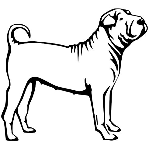 Shar pei matrica 0