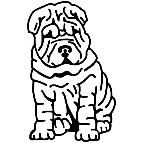 Shar pei matrica 1