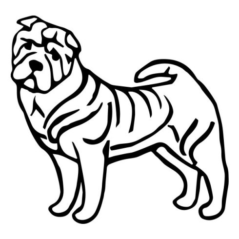 Shar pei matrica 7