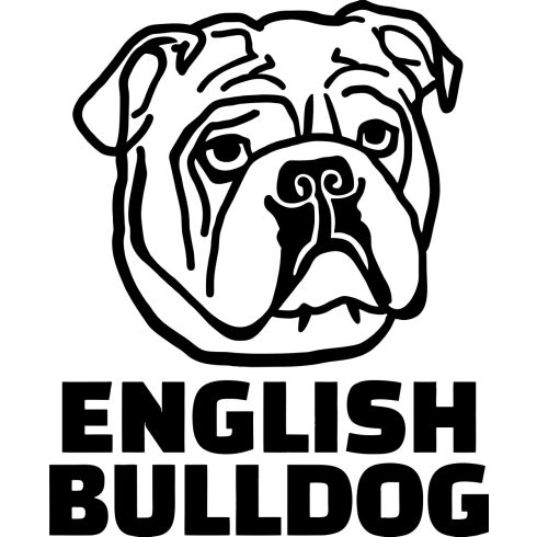 Angol bulldog matrica 4