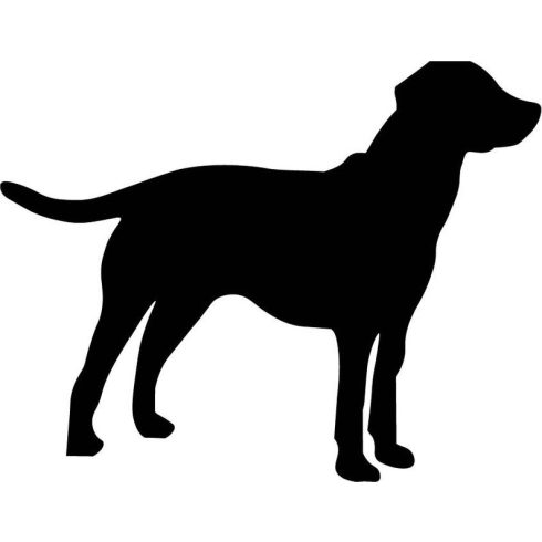 Labrador matrica 18