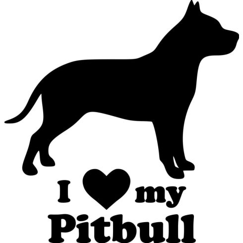 Pitbull matrica 13