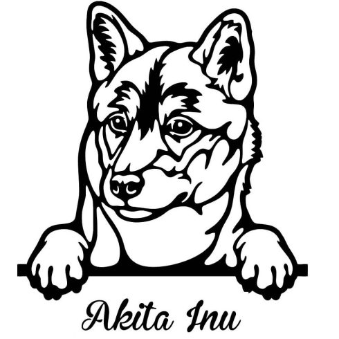 Akita inu matrica