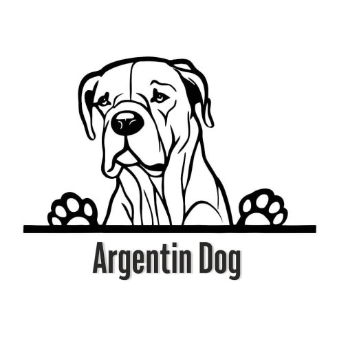 Argentin dog matrica 30 cm