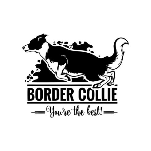 Border collie matrica 30 cm