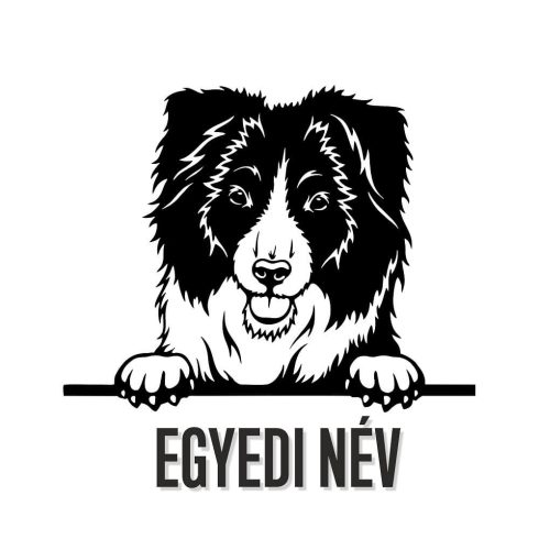 Egyedi neves Border collie matrica