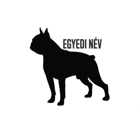 Egyedi neves Boston terrier matrica