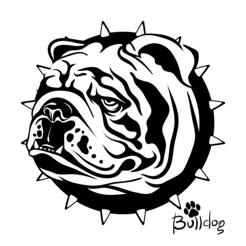 Bulldog matrica 30 cm