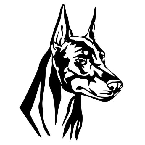 Dobermann matrica 20