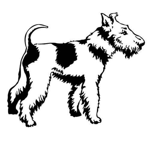 Foxterrier matrica 9