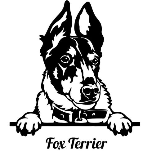 Fox terrier matrica