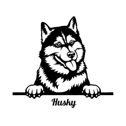 Husky matrica 15