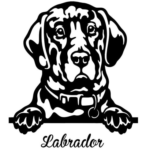 Labrador matrica 23