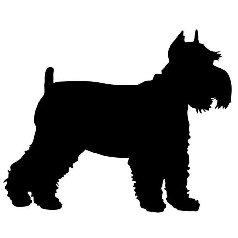 Schnauzer matrica 15