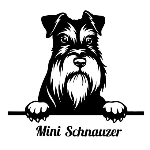 Mini Schnauzer matrica