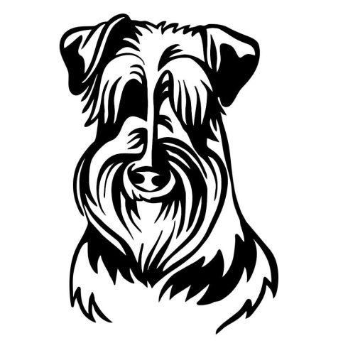 Schnauzer matrica 14