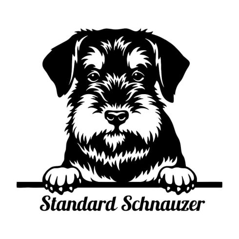 Standard Schnauzer matrica