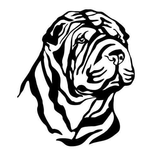 Shar pei matrica 14