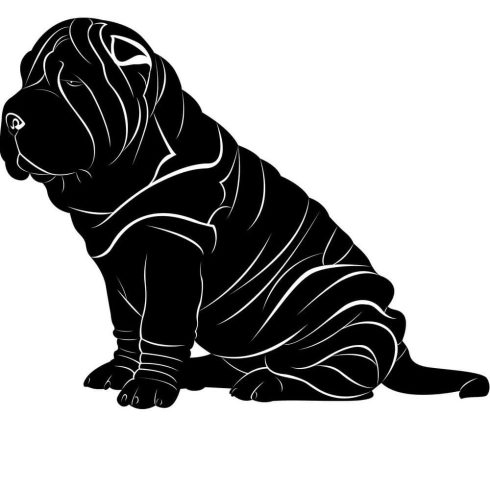 Shar pei matrica 15