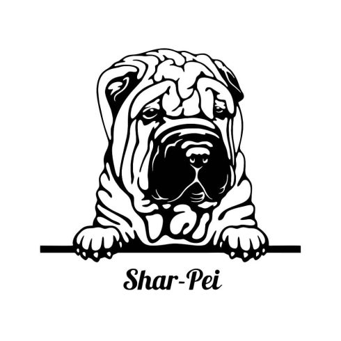 Shar pei matrica 16