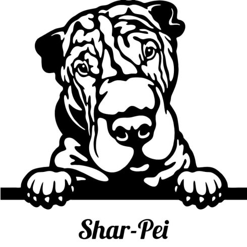 Shar pei matrica 17