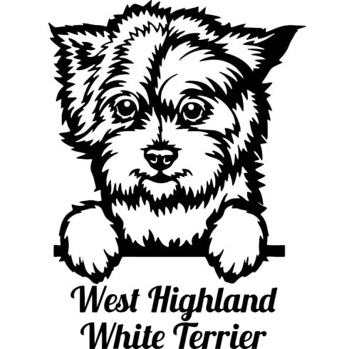 Westie matrica 8