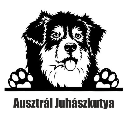 Ausztrál juhászkutya matrica 3