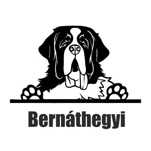 Bernáthegyi matrica 2