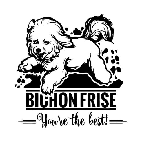 Bichon Frise matrica 40 cm