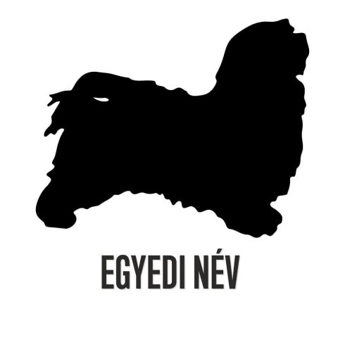 Egyedi neves Bichon Havanese matrica