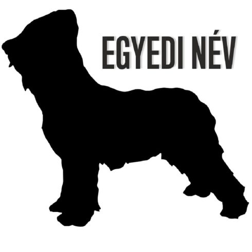 Egyedi neves Briard matrica