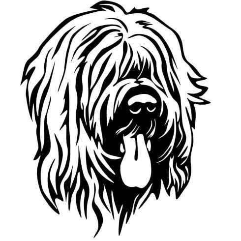 Briard matrica 2