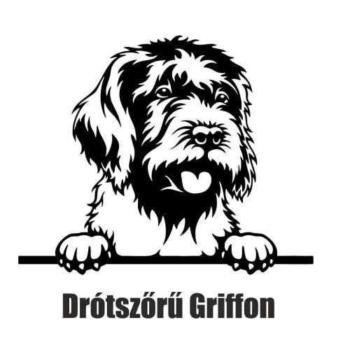 Drótszőrű griffon matrica