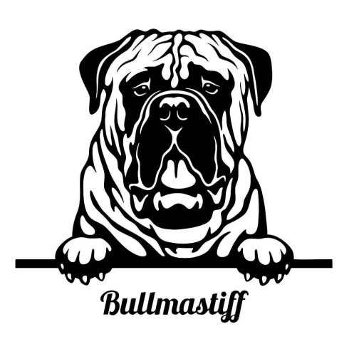 Bullmasztiff matrica 2