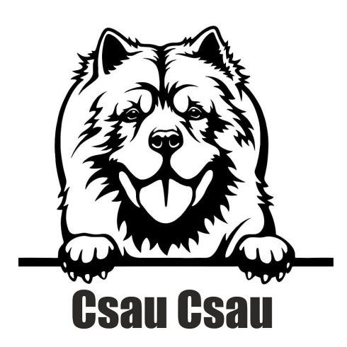 Csau Csau matrica 1