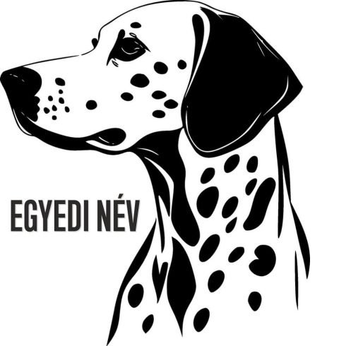 Egyedi neves Dalmata matrica