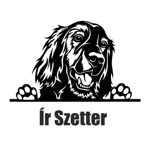 Ír szetter matrica 2