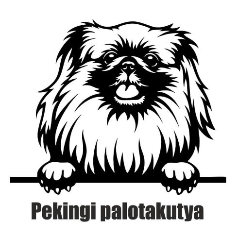 Pekingi palotakutya matrica 2