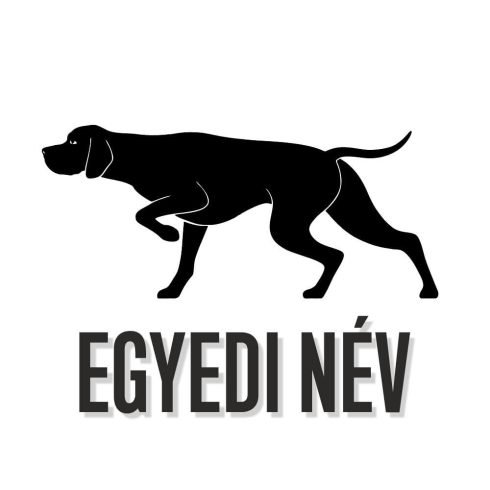 Egyedi neves Pointer matrica