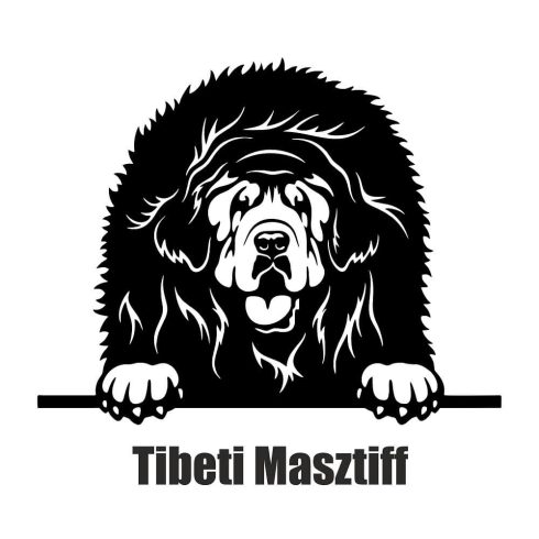 Tibeti masztiff matrica 2