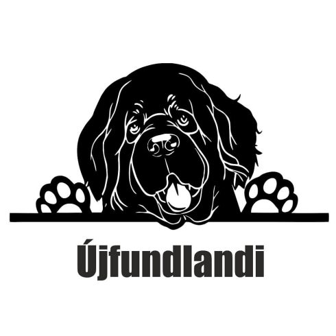 Újfundlandi matrica 3