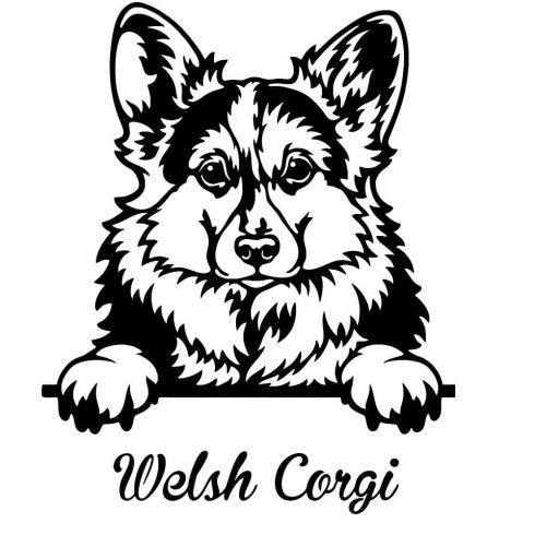 Welsh Corgi matrica 4